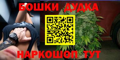 индика Мариинск