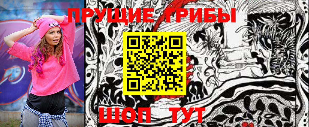 Галлюциногенные грибы Psilocybe Арзамас