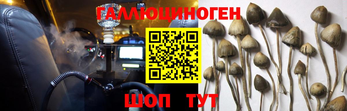 Псилоцибиновые грибы MAGIC MUSHROOMS  Вход с VPN  Арзамас 